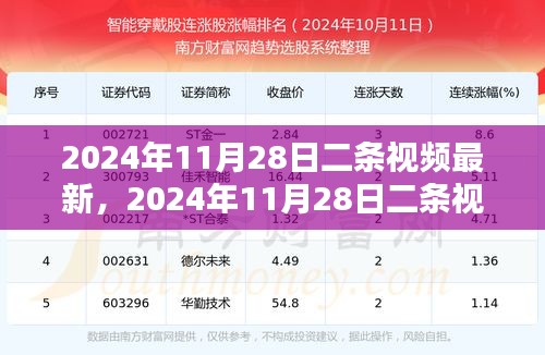 2024年11月28日第二条视频最新内容解析与观点探讨