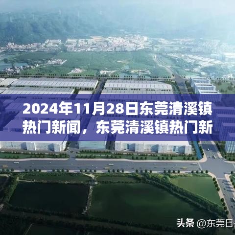 2024年11月28日东莞清溪镇热门新闻聚焦，观点分析