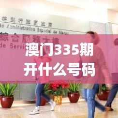 澳门335期开什么号码,专家解说解释定义_EOZ68.123创新版