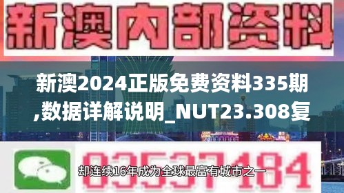 新澳2024正版免费资料335期,数据详解说明_NUT23.308复兴版