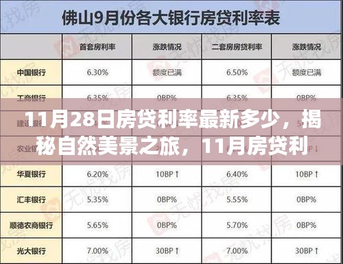 揭秘自然美景之旅，探寻心灵宁静下的最新房贷利率变化