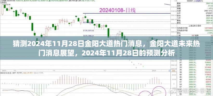 2024年11月28日金阳大道热门消息展望，未来趋势预测与深度分析