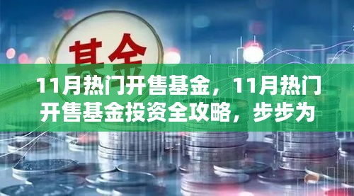 11月热门基金开售攻略，步步为赢的选择与操作指南