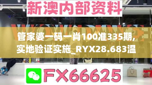 管家婆一码一肖100准335期,实地验证实施_RYX28.683温馨版