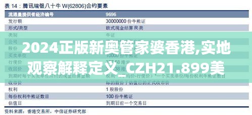 2024正版新奥管家婆香港,实地观察解释定义_CZH21.899美学版