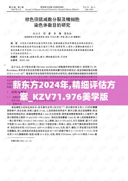 新东方2024年,精细评估方案_KZV71.976美学版