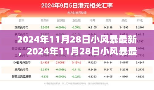 深度解读与预测，2024年11月28日小风暴最新动态与趋势