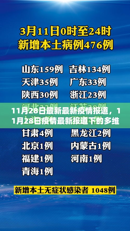 11月28日疫情最新报道，多维度视角分析疫情动态