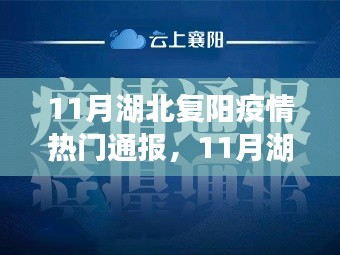 湖北复阳疫情最新通报概览，11月疫情动态及应对策略分析