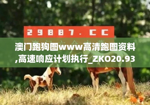 澳门跑狗图www高清跑图资料,高速响应计划执行_ZKO20.930活力版