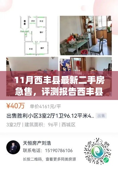 西丰县最新二手房急售全面解析，特性、体验、竞品对比与用户分析报告