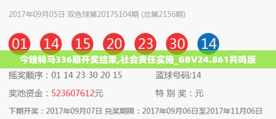 今晚特马336期开奖结果,社会责任实施_GBV24.861共鸣版