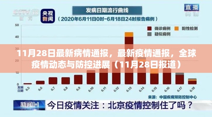 全球疫情动态更新，防控进展报告（11月28日最新疫情通报）