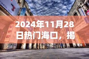 揭秘海口新宠，小巷深处的独特风味——海口热门故事纪实（2024年11月28日）