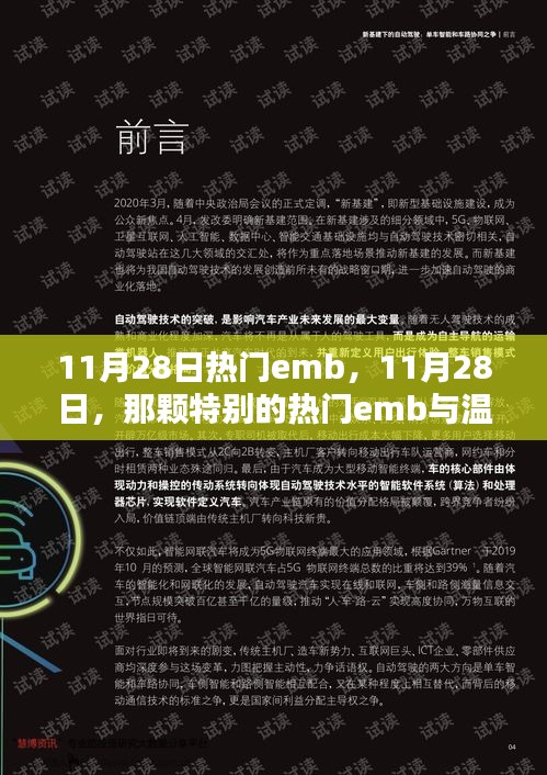 11月28日热门EMB的温馨日常