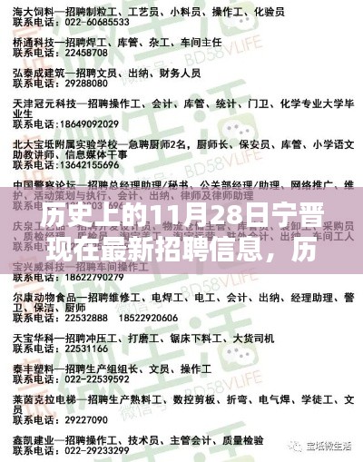 历史上的11月28日宁晋最新招聘信息全攻略，初学者与进阶用户均可获取