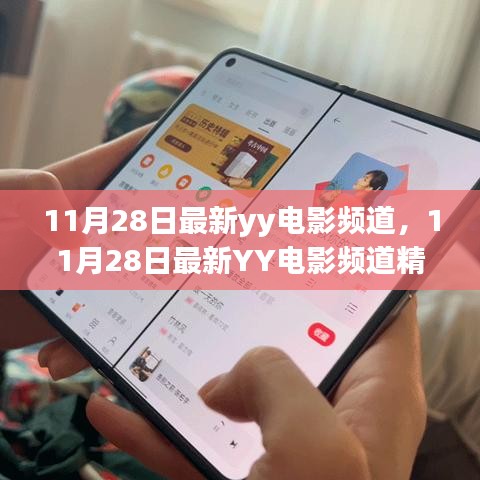 11月28日最新YY电影频道，一站式观影指南与精彩速递