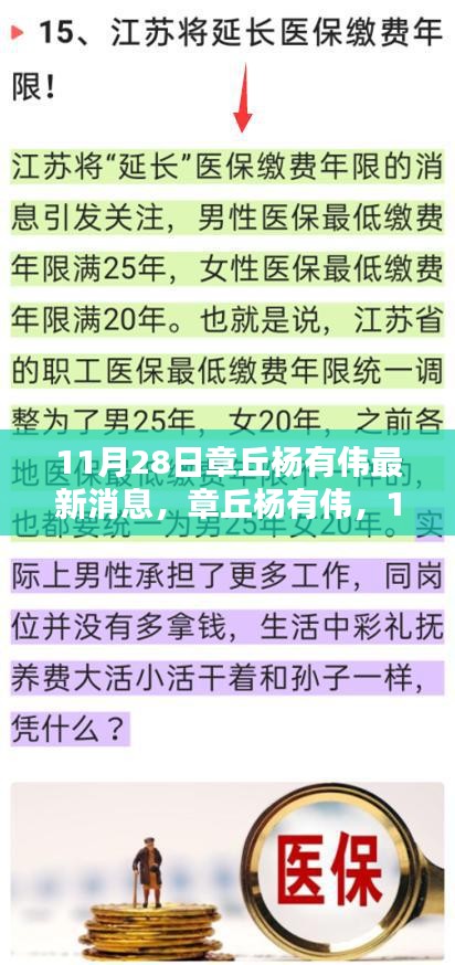 章丘杨有伟最新消息及深远影响揭秘，11月28日更新动态速递