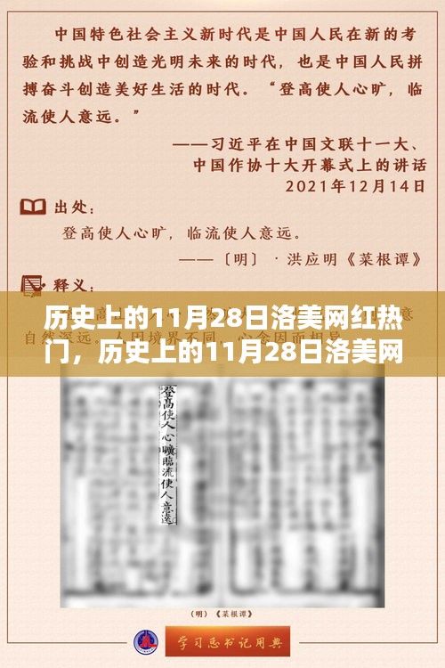 历史上的11月28日洛美网红热门产品全面解析与评测