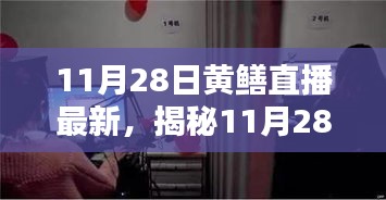 揭秘，11月28日黄鳝直播最新动向与热门内容全解析