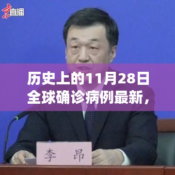 历史上的11月28日全球确诊病例深度解析与全面评测报告