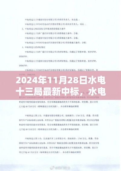 水电十三局最新中标项目指南，从入门到精通（2024年11月版）