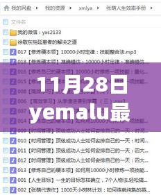 非法行为警告，初学者指南教你如何安全访问非法Yemalu网站，11月最新网址揭秘