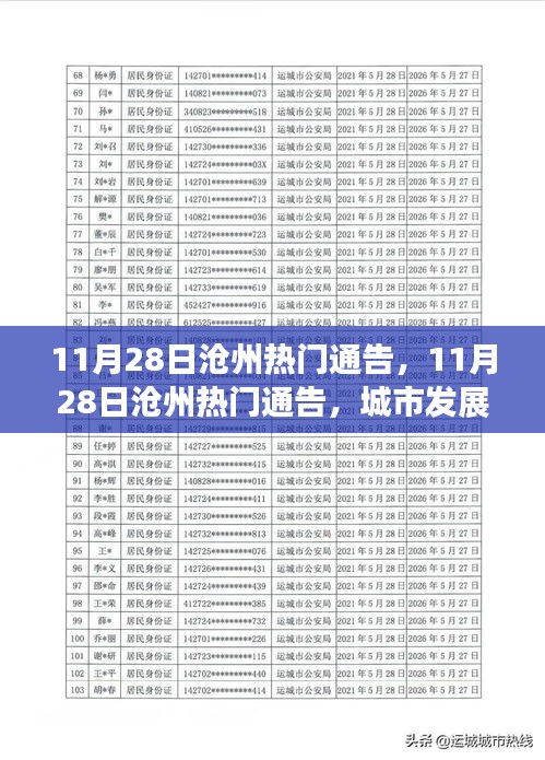 11月28日沧州热门通告，城市发展双刃剑效应与公众观点博弈