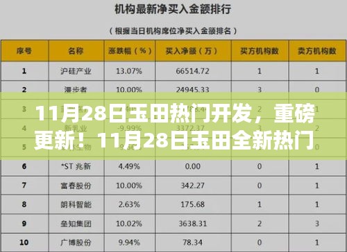 2024年12月2日 第19页