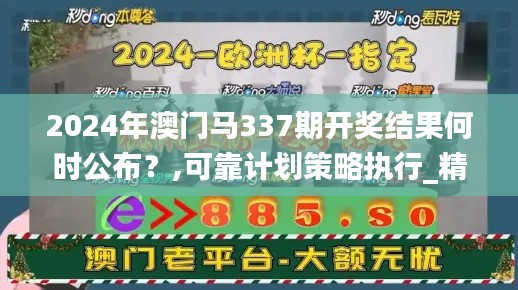 2024年澳门马337期开奖结果何时公布？,可靠计划策略执行_精英版2.206-2