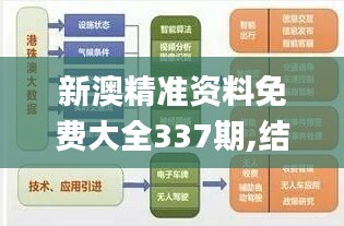 新澳精准资料免费大全337期,结构化评估推进_精简版40.245-1