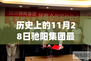 驰阳集团历史最新动态揭秘，11月28日最新消息与深度分析指南