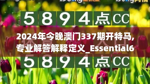 2024年今晚澳门337期开特马,专业解答解释定义_Essential67.387-8