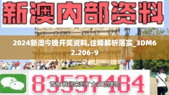 2024新澳今晚开奖资料,诠释解析落实_3DM62.206-9