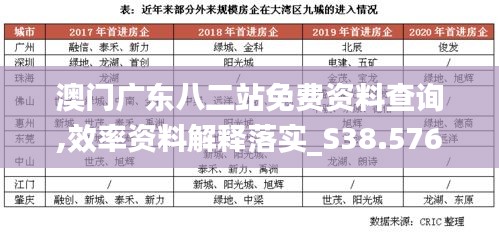 澳门广东八二站免费资料查询,效率资料解释落实_S38.576-6