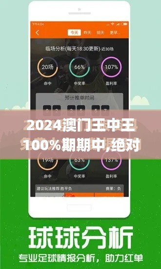 2024澳门王中王100%期期中,绝对经典解释落实_YE版85.647-4