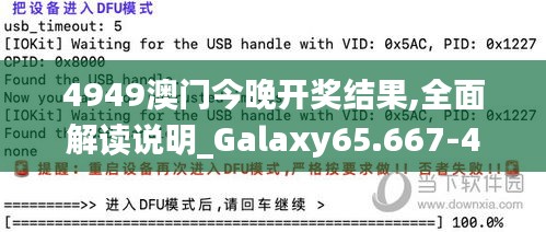 4949澳门今晚开奖结果,全面解读说明_Galaxy65.667-4