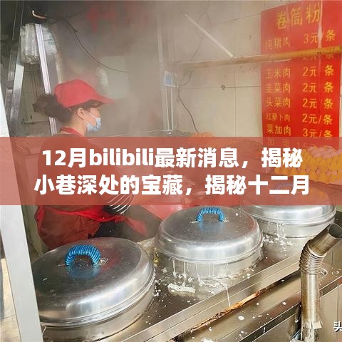 揭秘十二月最新消息，Bilibili小巷深处的宝藏特色小店独家报道