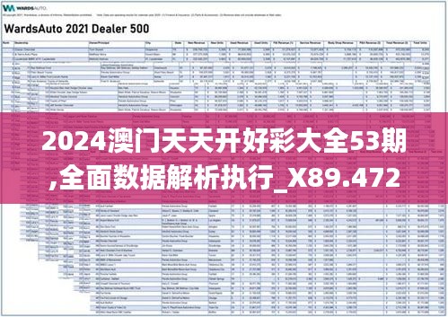 2024澳门天天开好彩大全53期,全面数据解析执行_X89.472