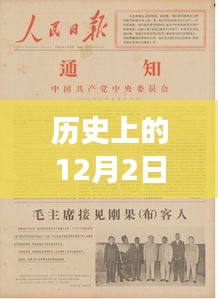 历史上的12月2日中弘退最新公告深度解读与观点阐述，深度剖析与最新进展报告