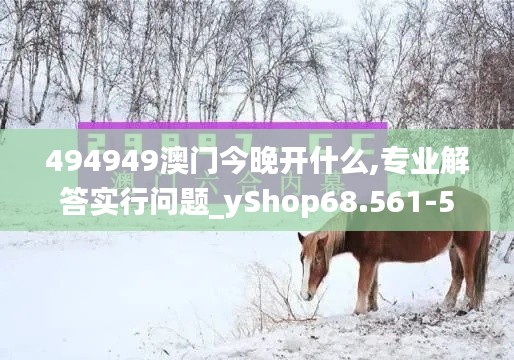 494949澳门今晚开什么,专业解答实行问题_yShop68.561-5