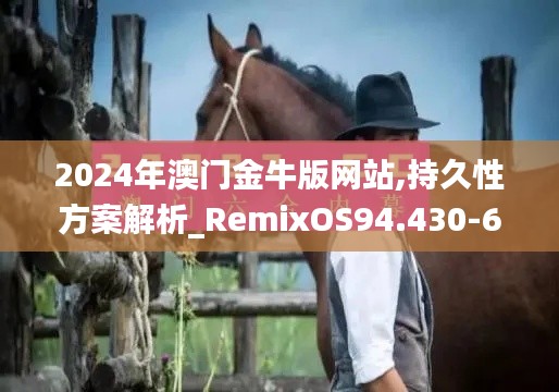 2024年澳门金牛版网站,持久性方案解析_RemixOS94.430-6