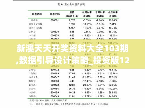 新澳天天开奖资料大全103期,数据引导设计策略_投资版12.492-8