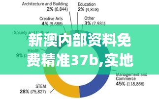 新澳内部资料免费精准37b,实地考察分析数据_VR32.278-1