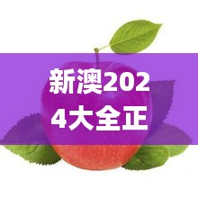 新澳2024大全正版免费,效率解答解释落实_苹果款26.339-2