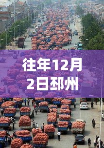 邳州市大蒜市场深度观察，历年价格走势分析与今日最新价格播报