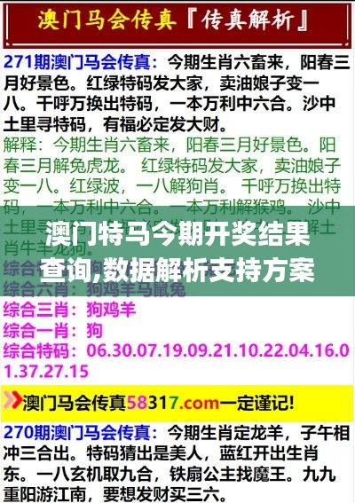 澳门特马今期开奖结果查询,数据解析支持方案_交互版66.227-2