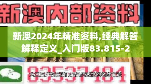 新澳2024年精准资料,经典解答解释定义_入门版83.815-2