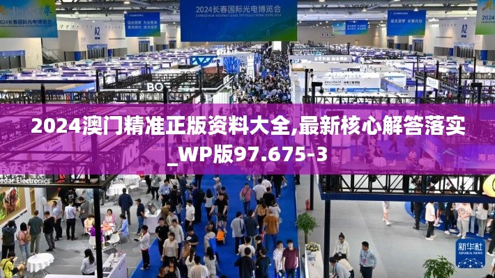 2024澳门精准正版资料大全,最新核心解答落实_WP版97.675-3