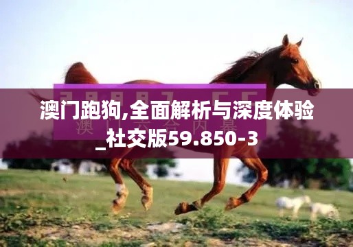 澳门跑狗,全面解析与深度体验_社交版59.850-3